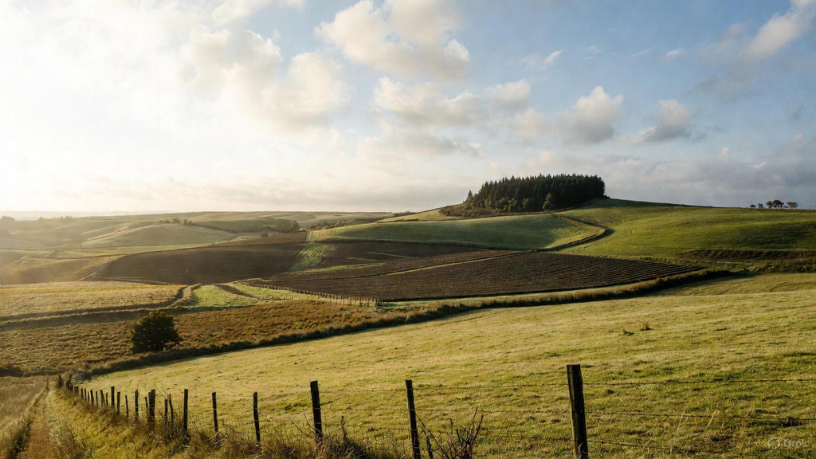 Sustentabilidade virou negócio: o mercado de créditos de carbono valoriza áreas rurais, destaca Aldo Vendramin.