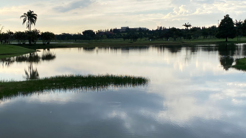 Para Milton Seigi Hayashi, o golfe combina movimento e silêncio mental para reduzir estresse e aumentar clareza.
