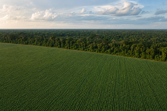 Vista aérea de lavoura de soja próxima a área de floresta na Amazônia brasileira
