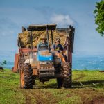 Dois agricultores conduzem um trator que transporta feno em uma área rural de Avaré, no interior de São Paulo.