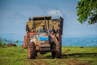 Dois agricultores conduzem um trator que transporta feno em uma área rural de Avaré, no interior de São Paulo.