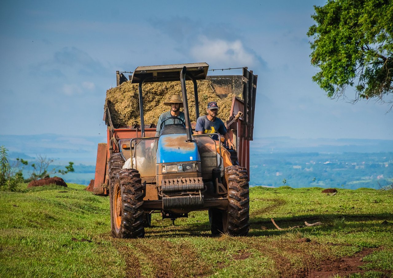 Dois agricultores conduzem um trator que transporta feno em uma área rural de Avaré, no interior de São Paulo.